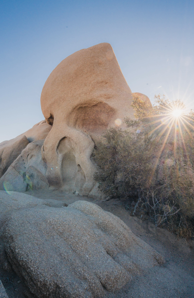 Skull Rock at Joshua Tree National Park. Photography by California Travel Escapes.